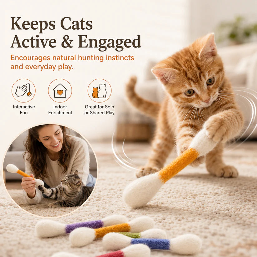 Turn Bored Moments Into Happy Paws